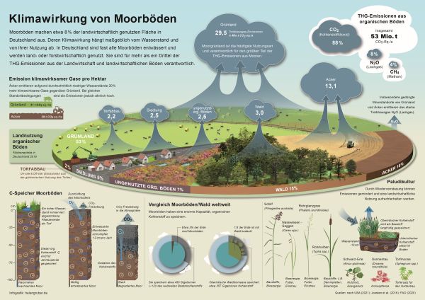 Die neue Infografik zur Klimawirkung von Moorböden steht auf mediathek.fnr.de zum Download zur Verfügung. Es gibt sie auch als Poster. Quelle: FNR/Helen Gruber